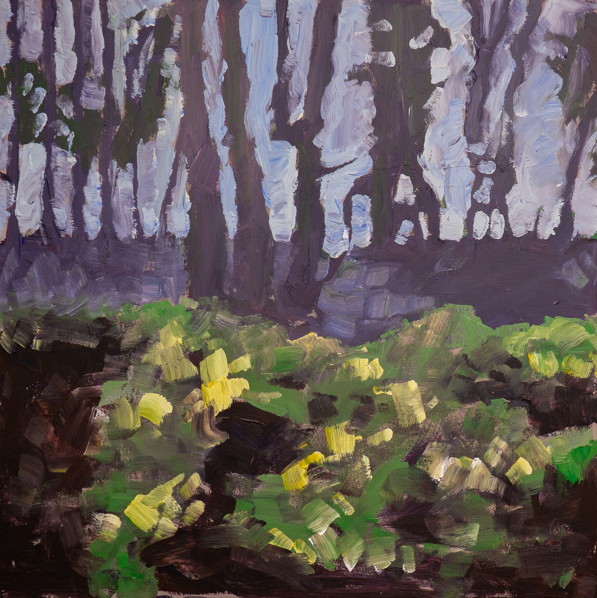 Forest Floor - 2024