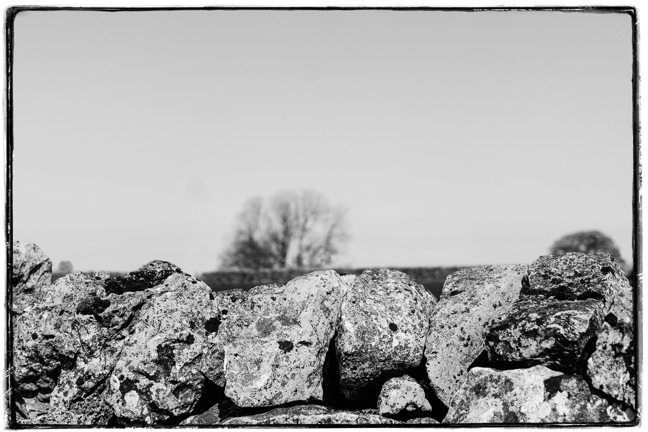 Drystone Wall
